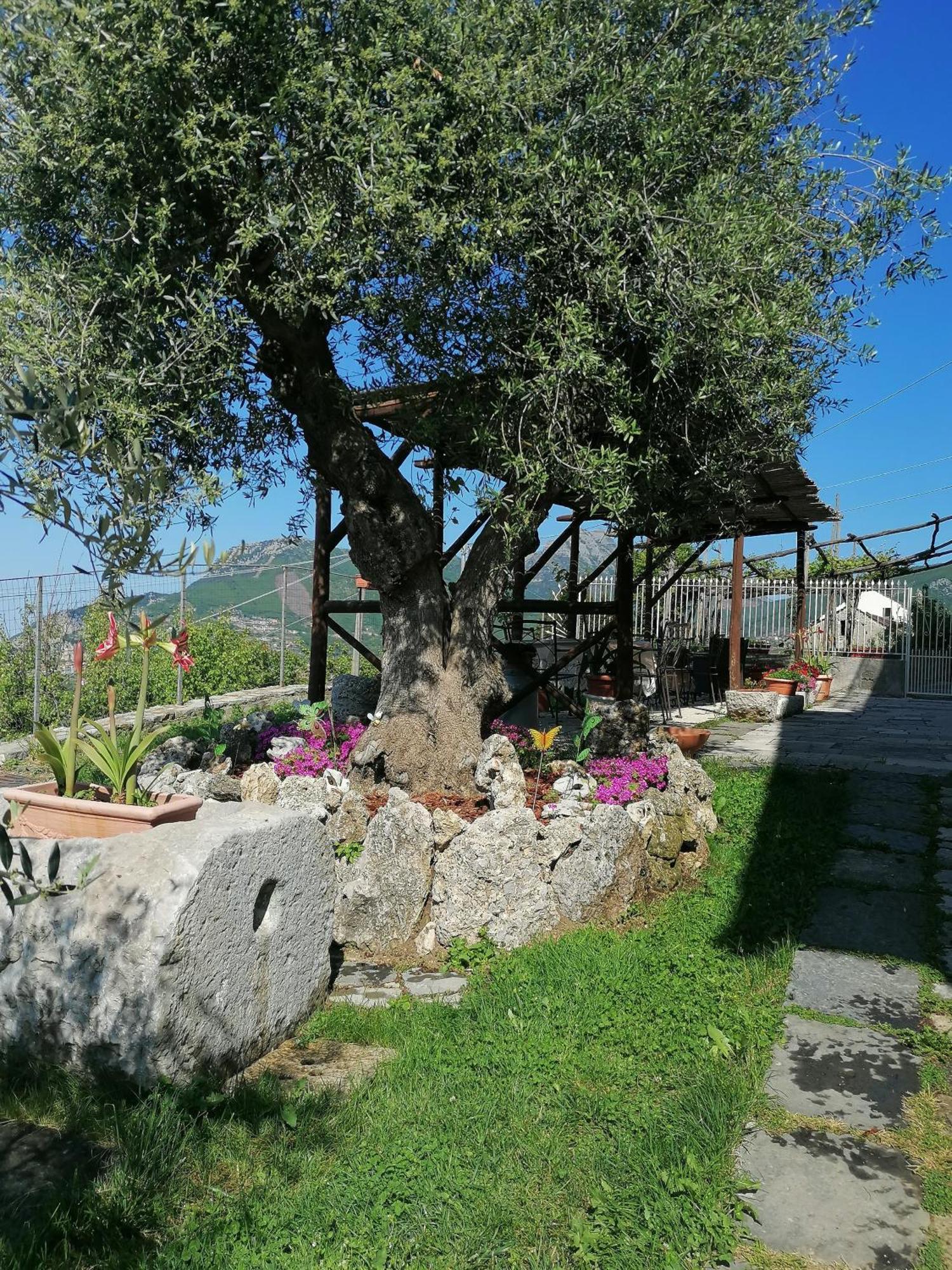 Il Casale Del Generale Bed & Breakfast Agerola Exterior photo